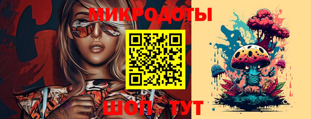 Псилоцибиновые грибы Psilocybe Джанкой
